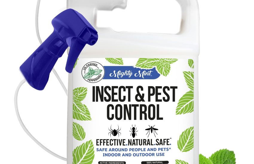 Mighty Mint Gallon Insect and Pest Control Peppermint Oil