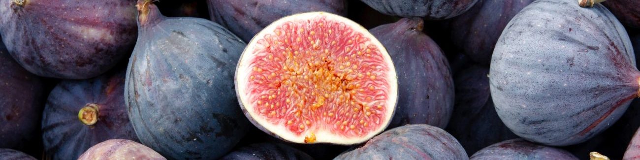 Why Do Fig Trees Make You Itch?