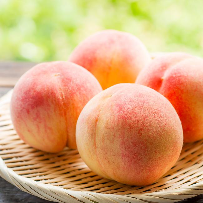 Best 7 Peach Trees To Grow In Indiana