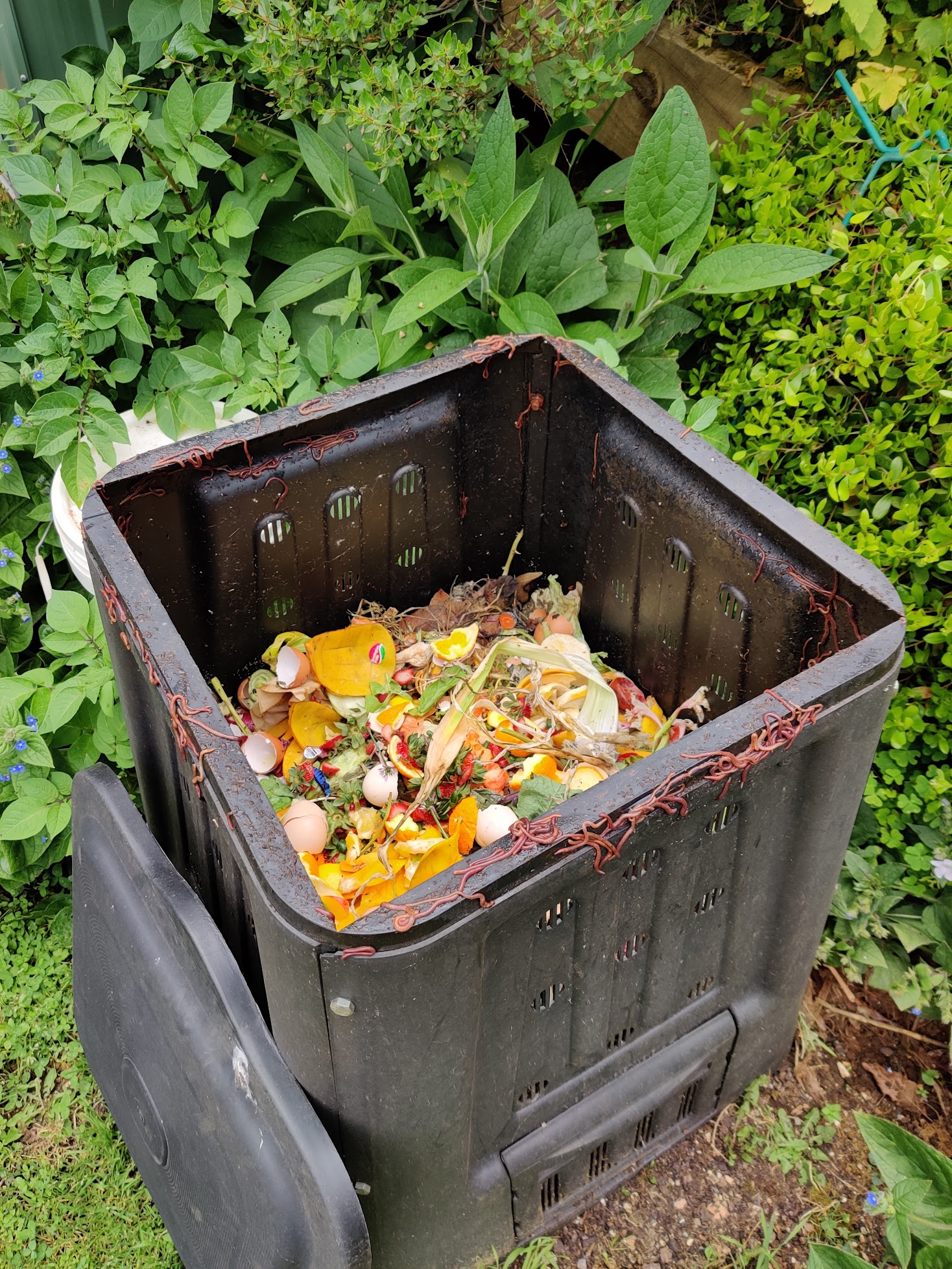 Best Compost Bins for Organic Gardening in 2024