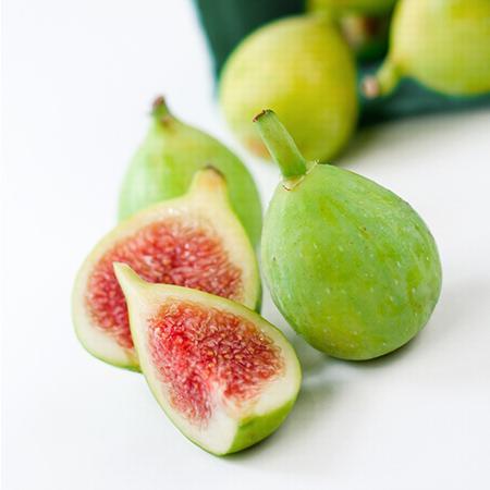 6 Best Fig Trees To Grow In New York
