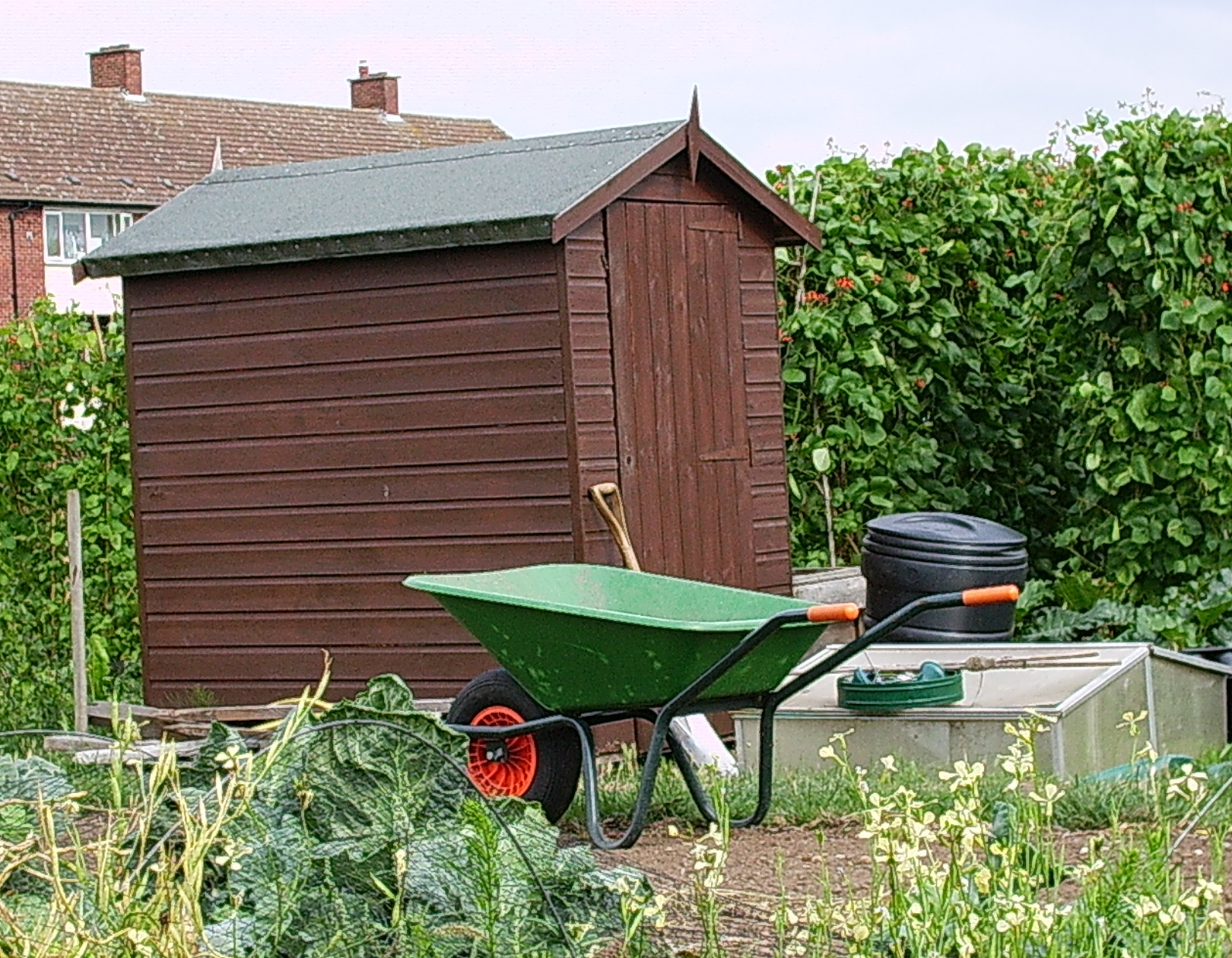 Best Garden Storage Sheds for Tool Organization in 2024