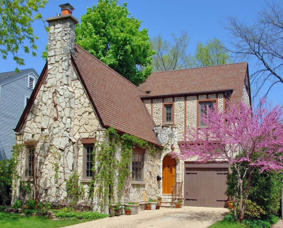 Eastern Redbud Trees: Plant, Grow and Care