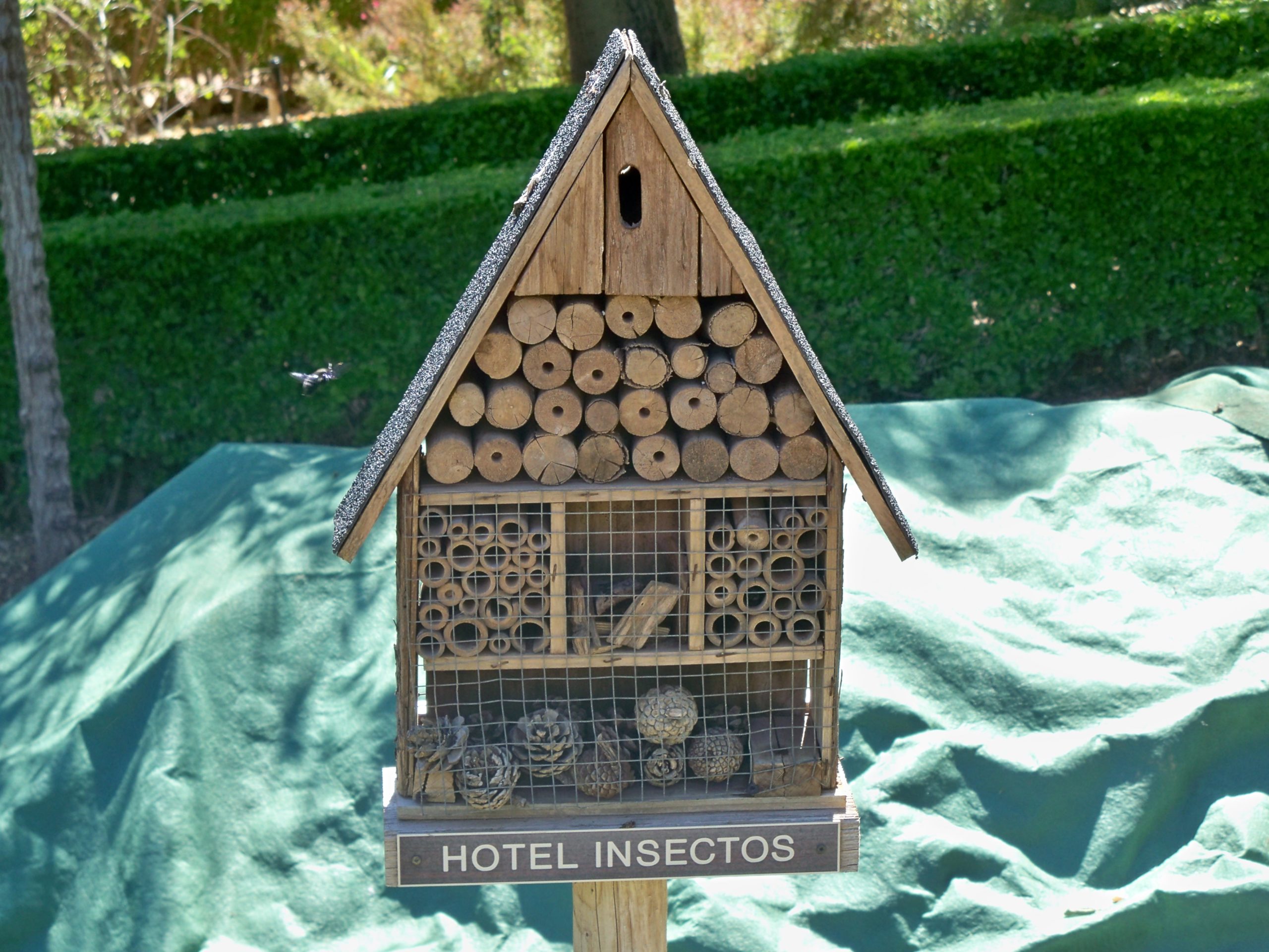 Best Insect Hotels: A Guide to Attracting Beneficial Bugs