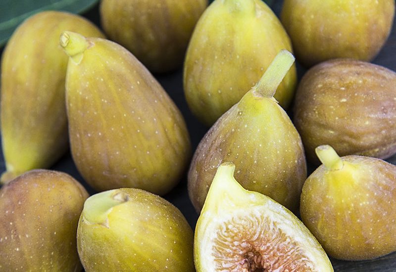 is fig tree deer resistant