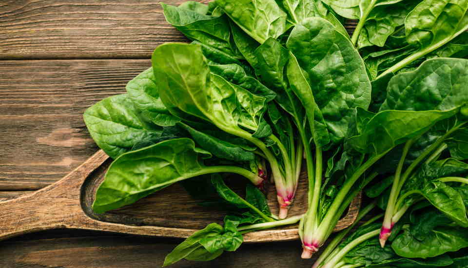 What Are Good Companion Plants for Spinach?