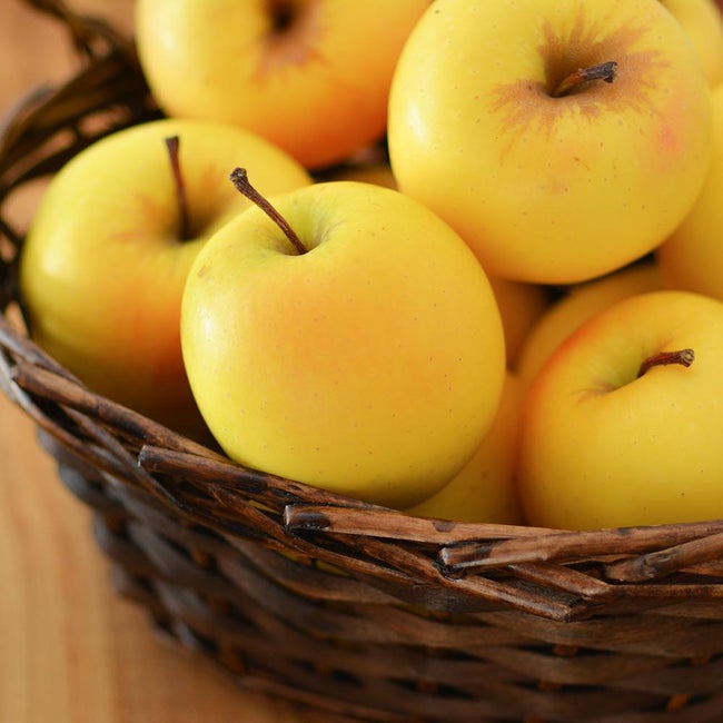 7 Best Apple Trees To Grow In Western Washington