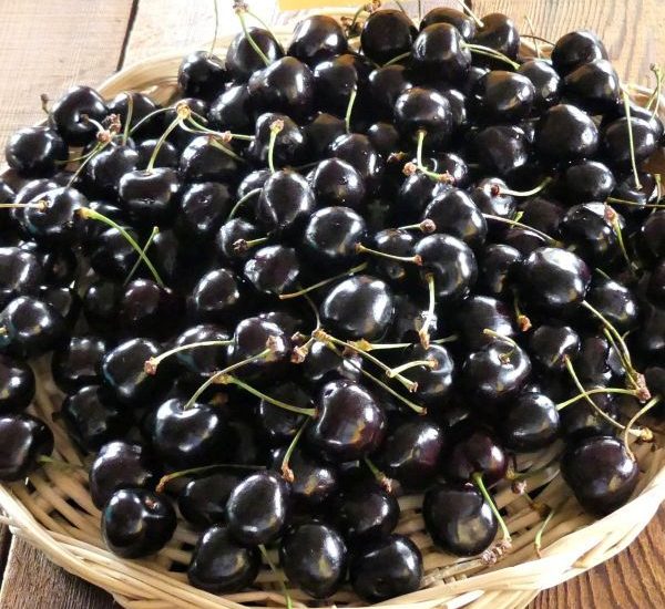 black-tartarian-cherry-fruit-on-plate-bulk-600x600-1.jpg