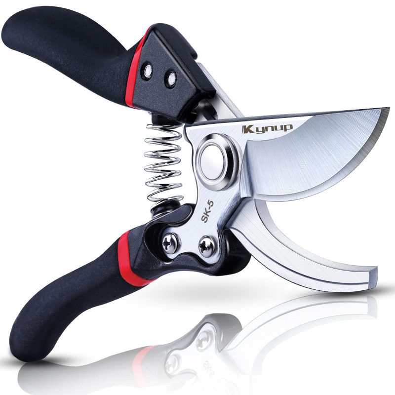 Best Pruning Shears for Roses: Top Picks for 2026 - PlantNative.org