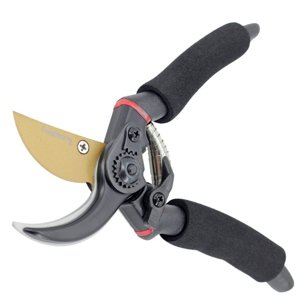 Best Pruning Shears for Roses: Top Picks for 2025 - PlantNative.org