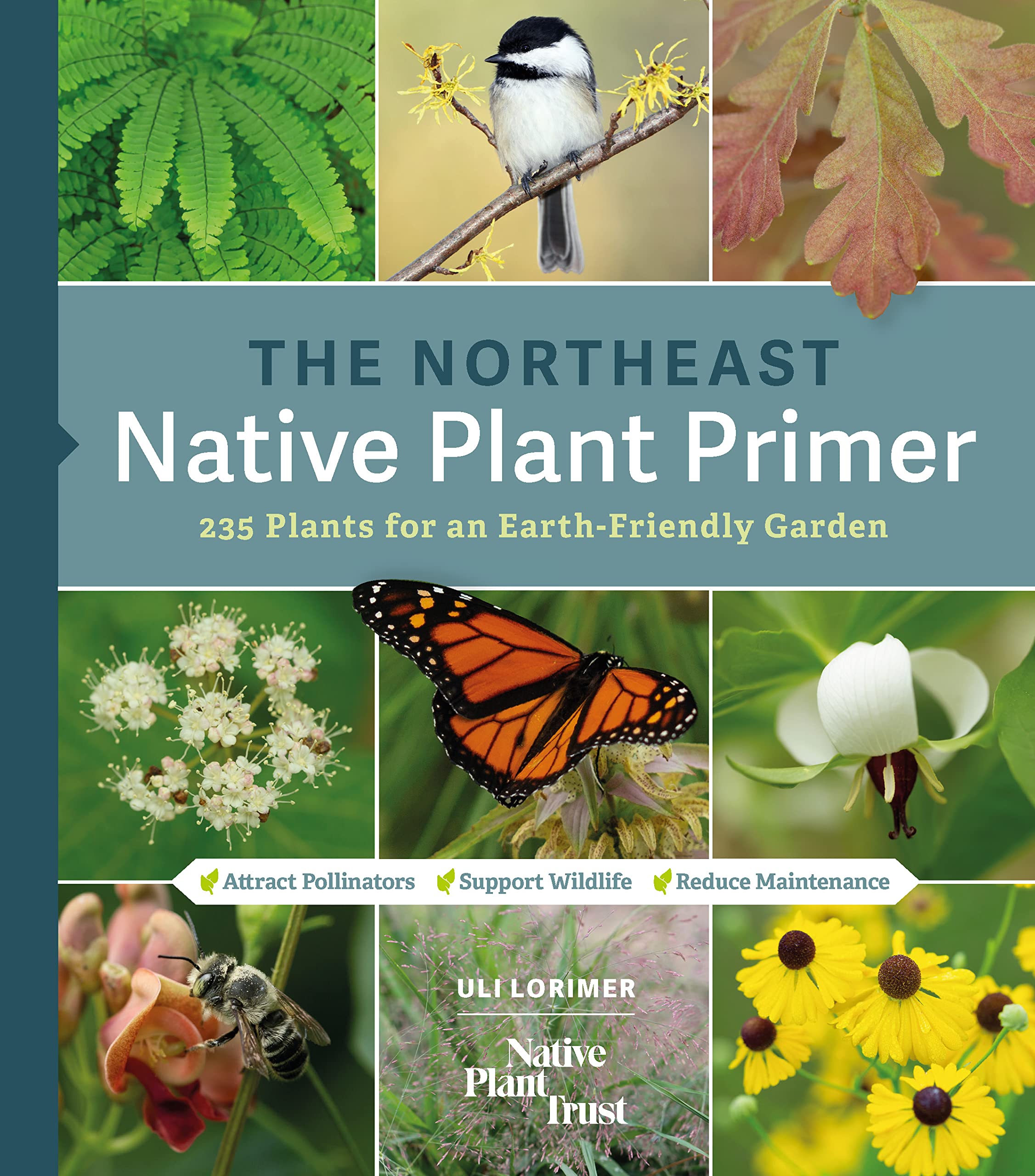 The Northeast Native Plant Primer: 235 Plants for an Earth-Friendly Garden