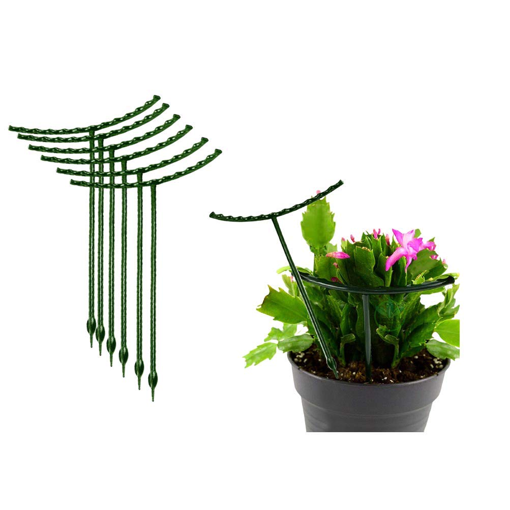 Belit Plant Supports