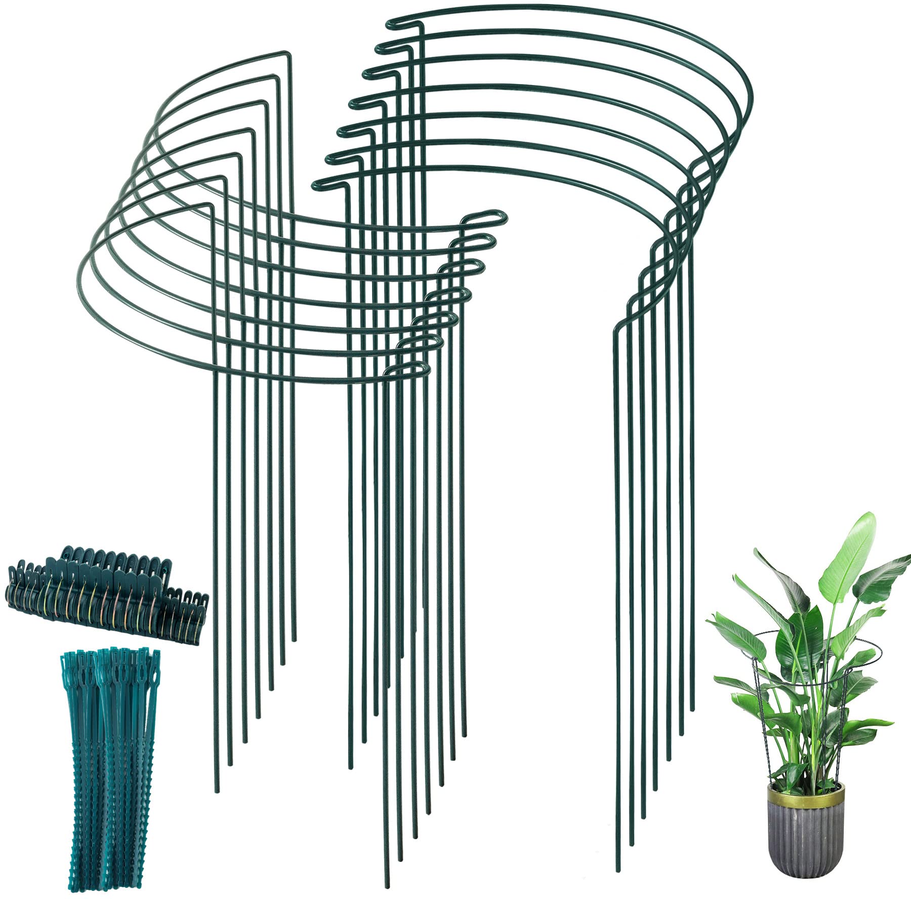Howise Plant Support Stakes