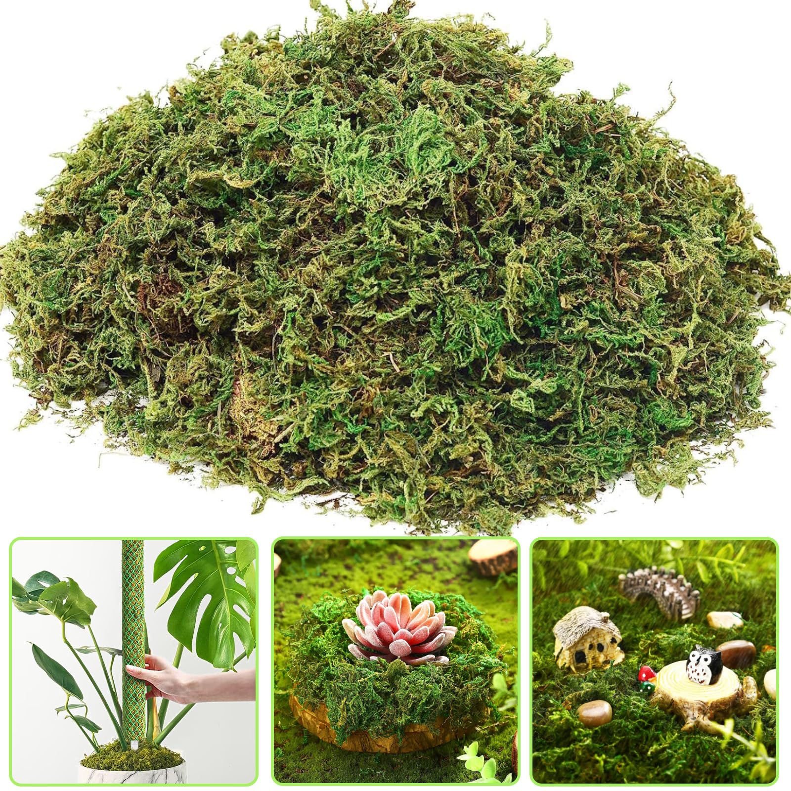 SunKrop Sphagnum Moss for Plants