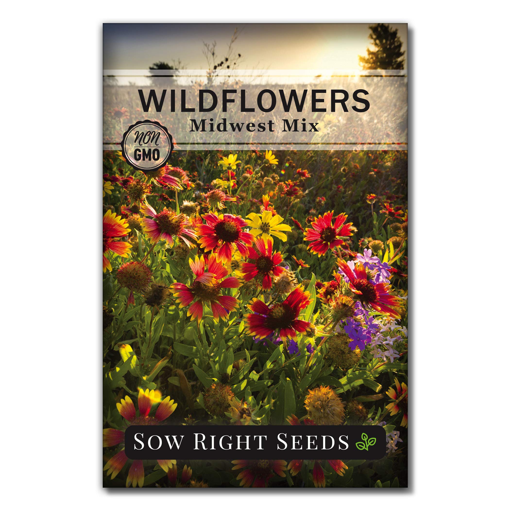 Sow Right Seeds - Wildflowers Seeds Mix for Planting in Midwest