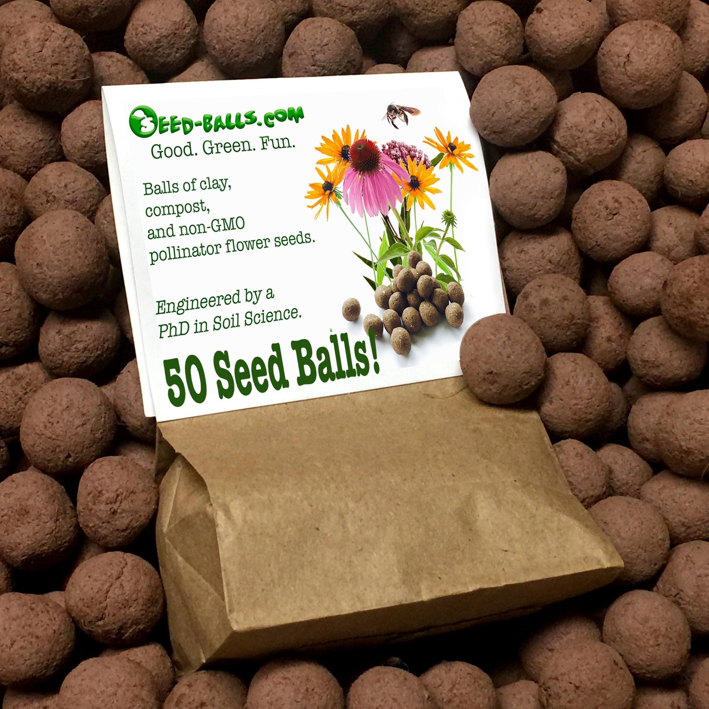 US Native Wildflower Seed Bombs for Pollinators