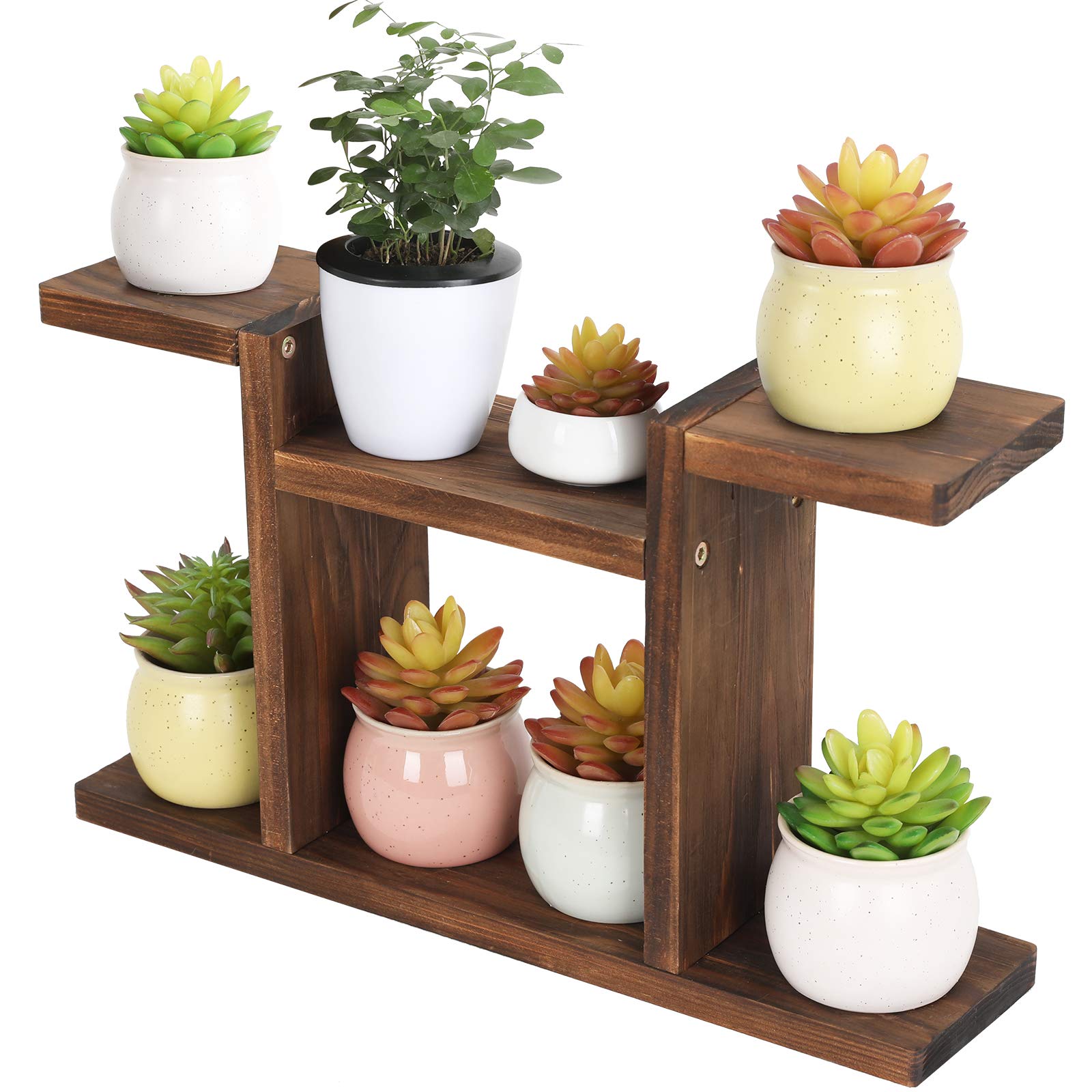 COOGOU Wood Desktop Plant Stand Indoor - Windowsill Plant Shelf Small Tabletop Plant Holder