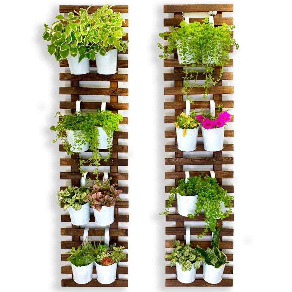 ShopLaLa Wall Planter