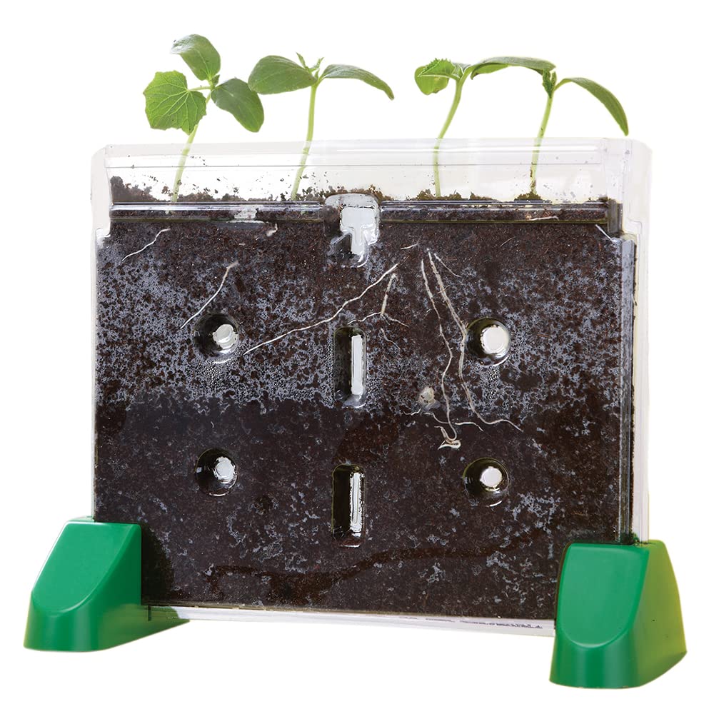 Educational Insights Sprout & Grow Window Plant Growing Kit