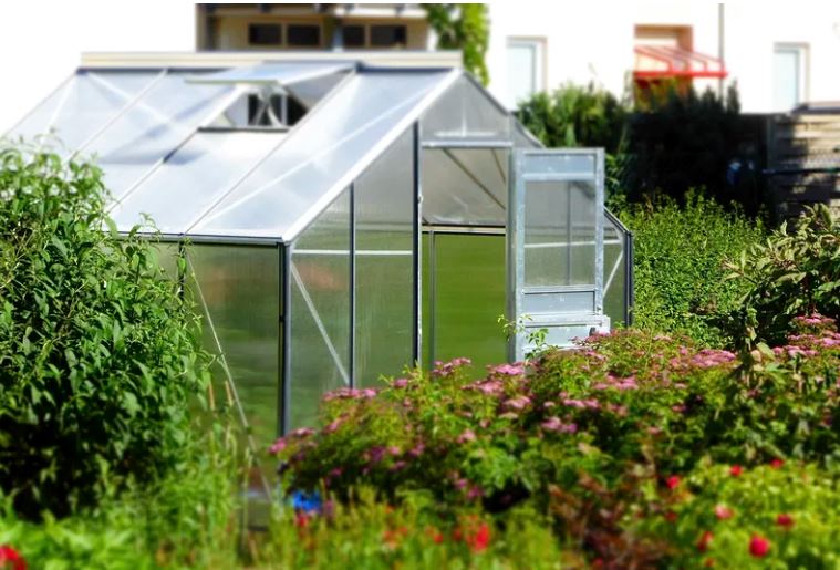Best Greenhouses for Native Plant Propagation: Top Picks for 2024
