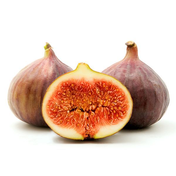 Best 6 Fig Trees To Grow In Dallas Area