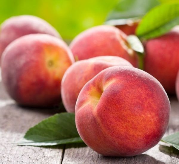 o_henry-peach-tree-_2_-800x800-1.jpg