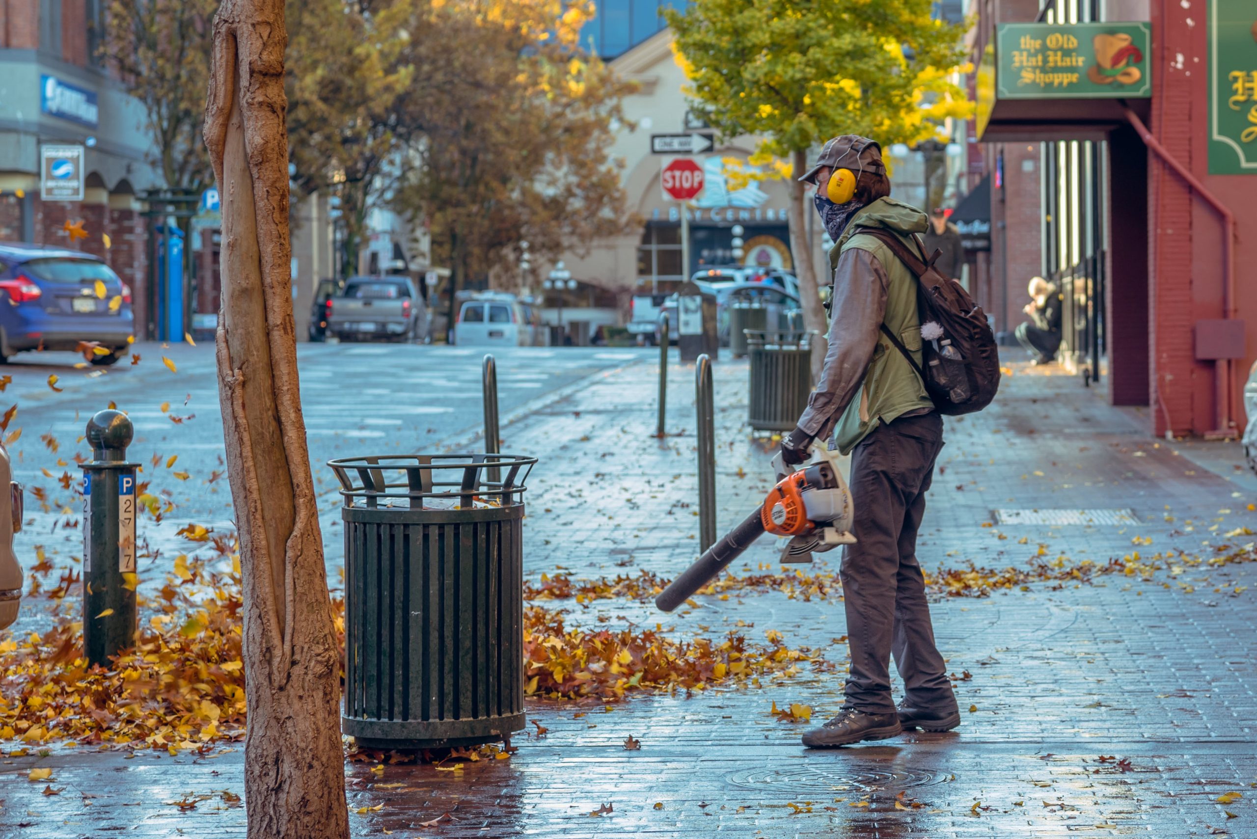 Best Leaf Blowers for Fall Cleanup: Top Picks and Reviews
