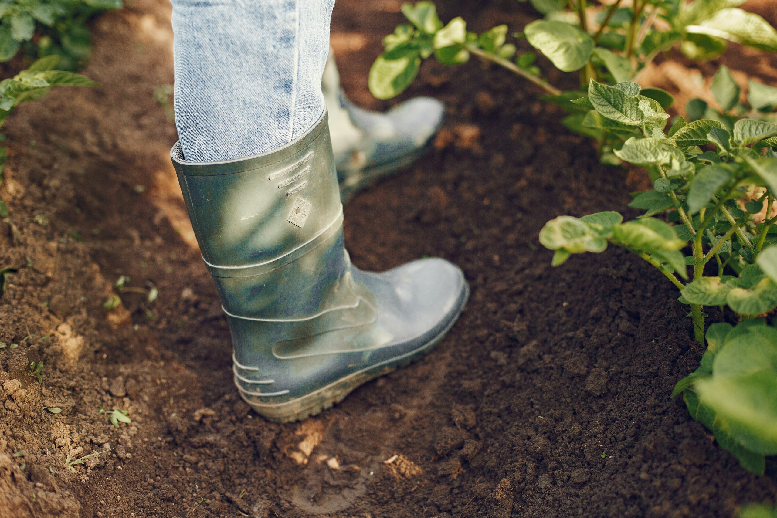 Best Garden Boots for Muddy Conditions: Top Picks for Durable and Waterproof Footwear
