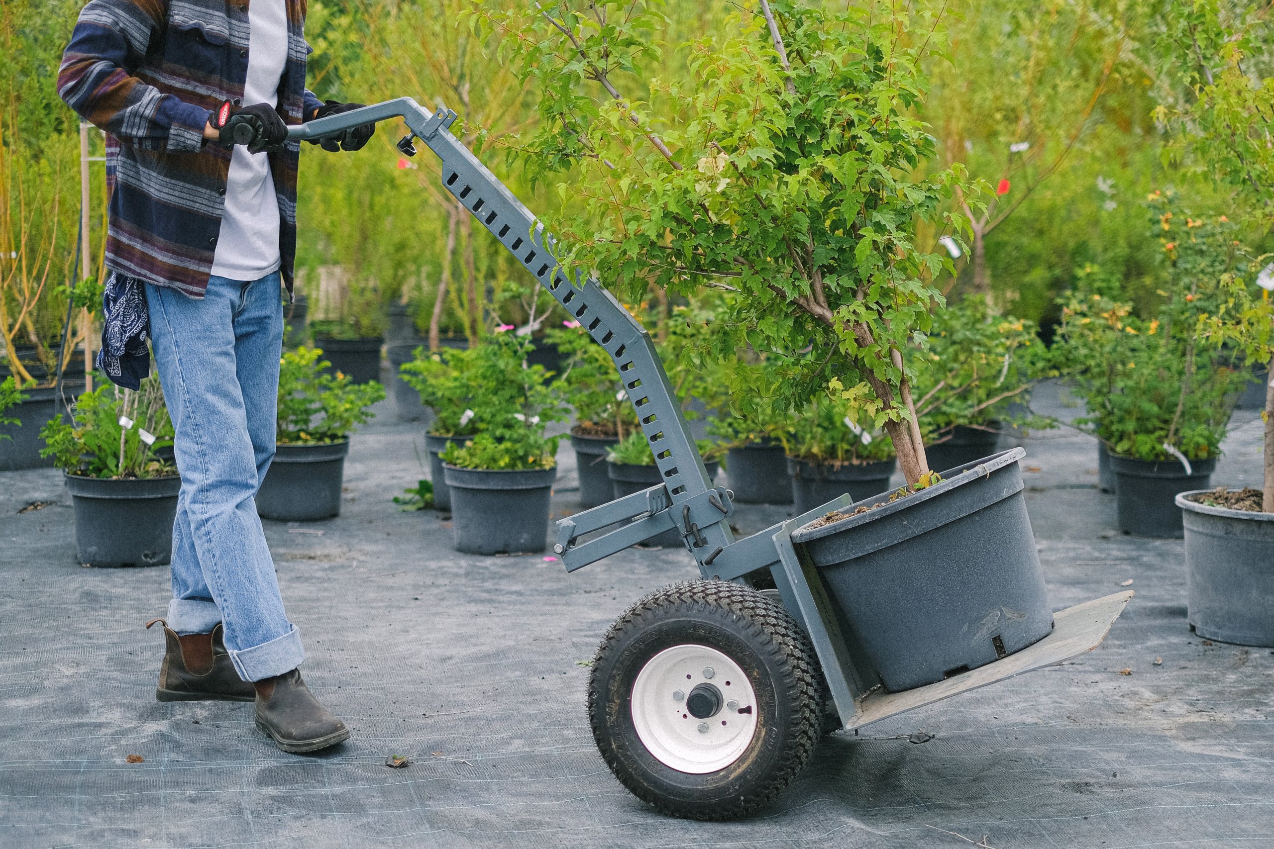 Best Plant Caddies for Heavy Pots: Top Picks for Easy Mobility