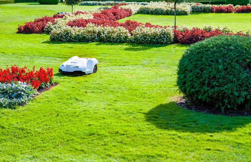 smart lawn mower grass