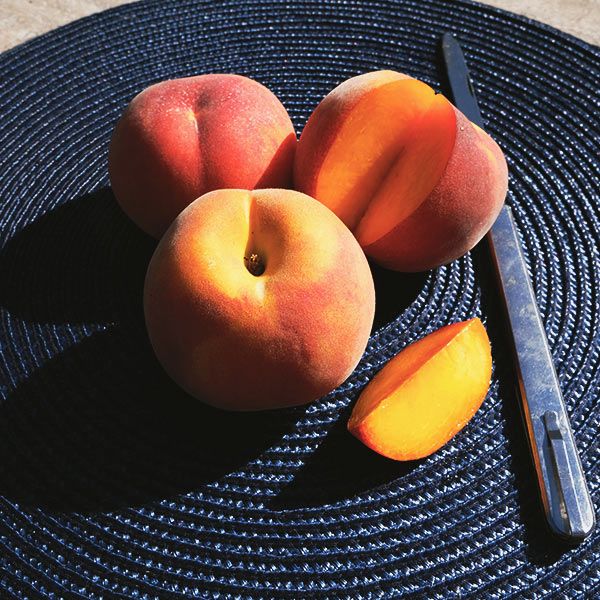 Best 6 Peach Trees To Grow In East Texas