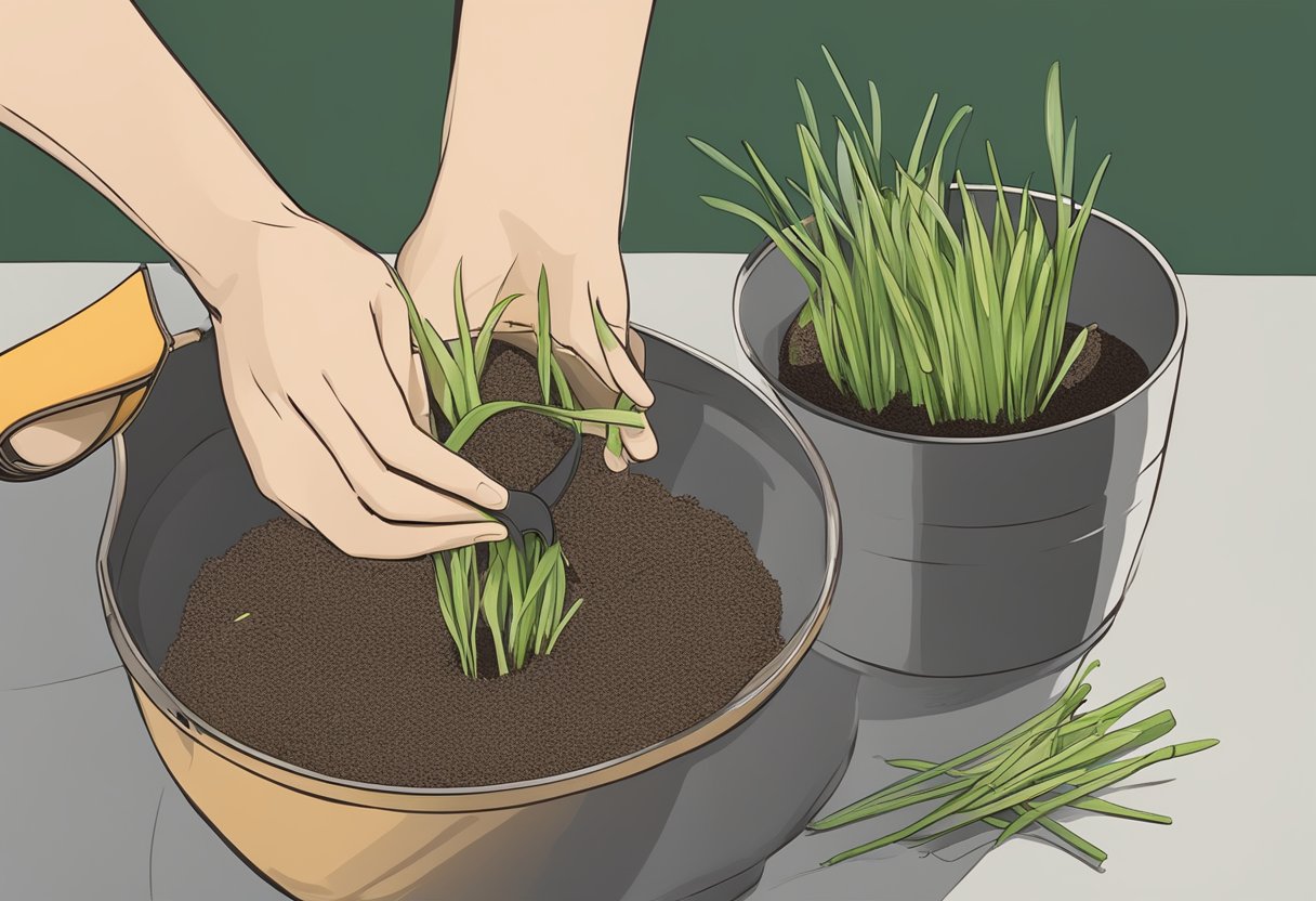 Lemongrass seeds in hand, pot filled with soil, watering can nearby