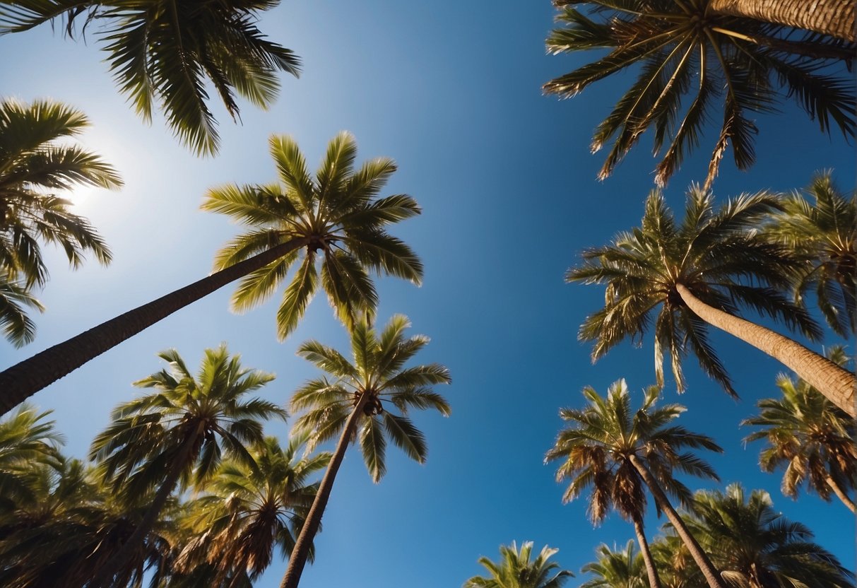 Tall palm trees sway in the warm Virginia breeze, their long fronds rustling against the blue sky
