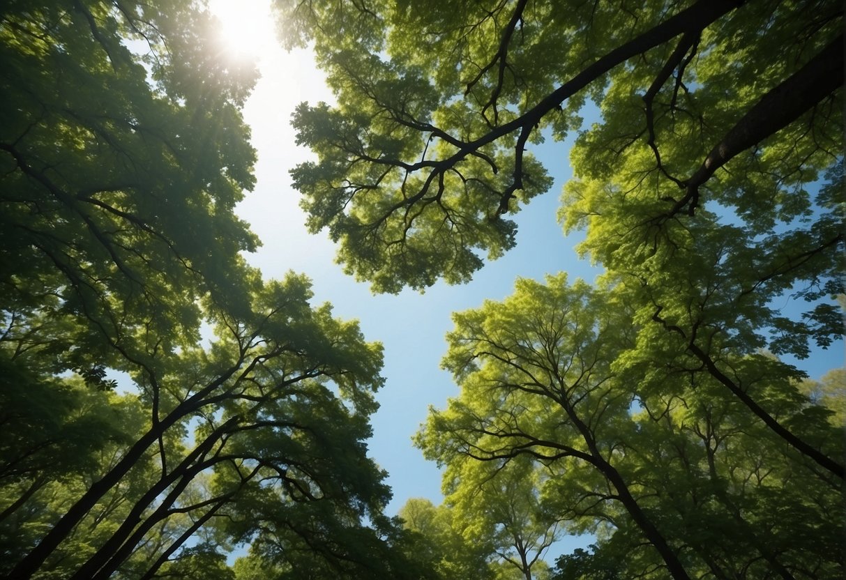 Lush, towering trees spread their branches, casting cool shadows over the Indiana landscape. The leaves are a vibrant green, and the trees are rapidly growing, reaching towards the sky