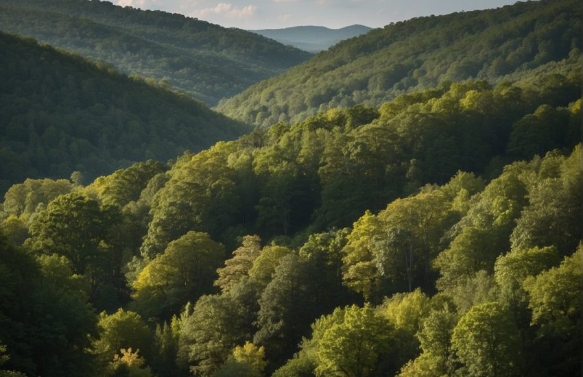 Lush green forests cover the rolling hills of Tennessee, with a mix of deciduous and coniferous trees. The climate is humid subtropical, with hot summers and mild winters