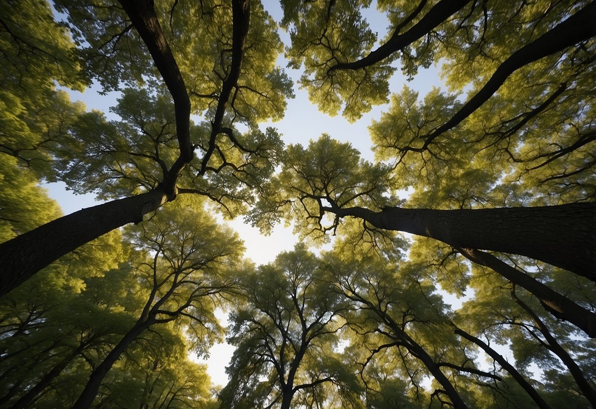 The tall oak trees in New York stand proudly, their branches reaching towards the sky, their leaves rustling in the gentle breeze