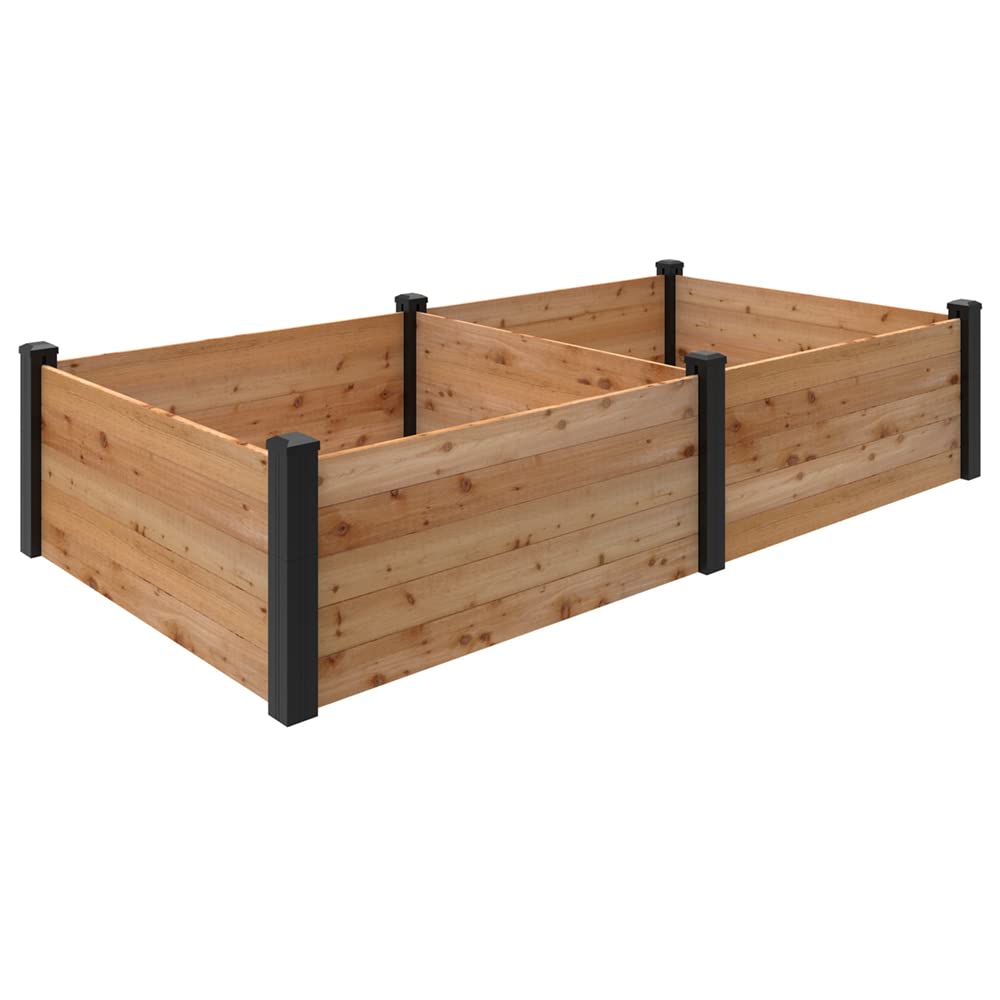 Are Raised Bed Soils Better? A Detailed Comparison of Garden Soil Options