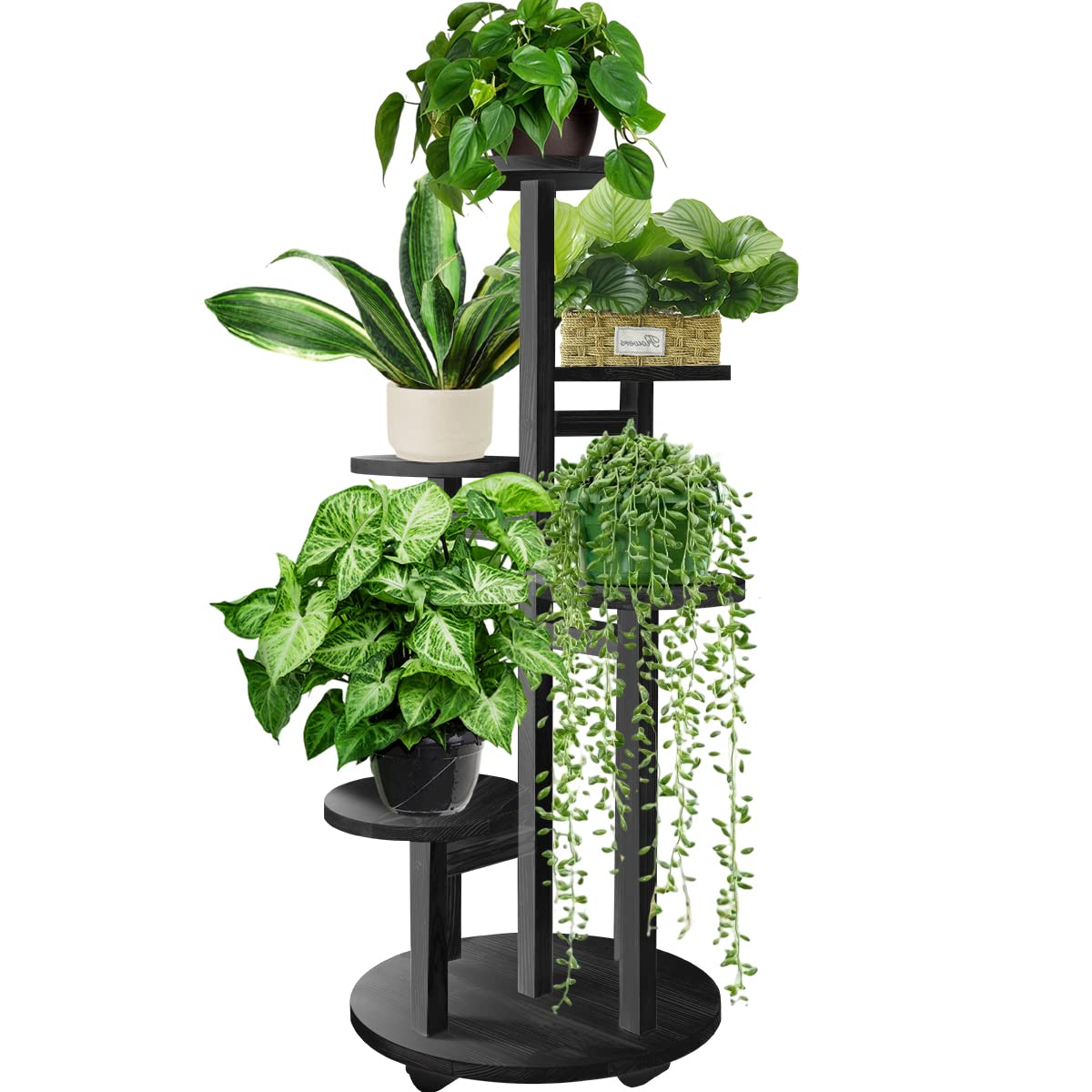 Our Favorite 5 Minimalist Indoor Plant Holders: Sleek Designs for Modern Homes