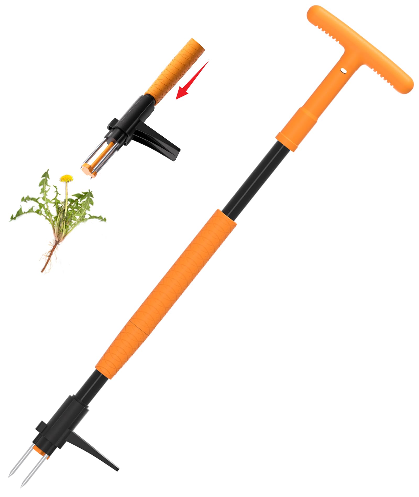 Are Automatic Weed Pullers Effective? We Put Them to the Test: Results from Our Hands-On Trials
