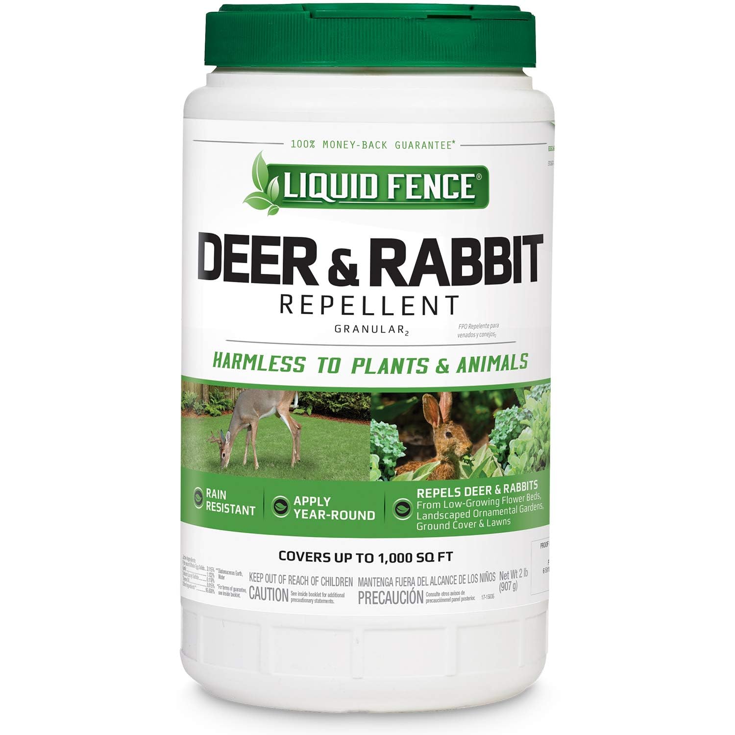 Top Rabbit Repellents That Actually Work: 5 Proven Solutions for Garden Protection