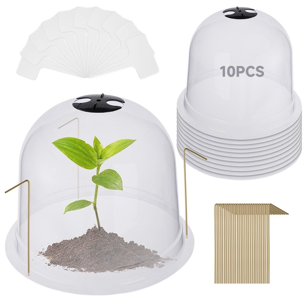 The Best Cloches for Safeguarding Tender Plants: Top Picks for Winter Protection
