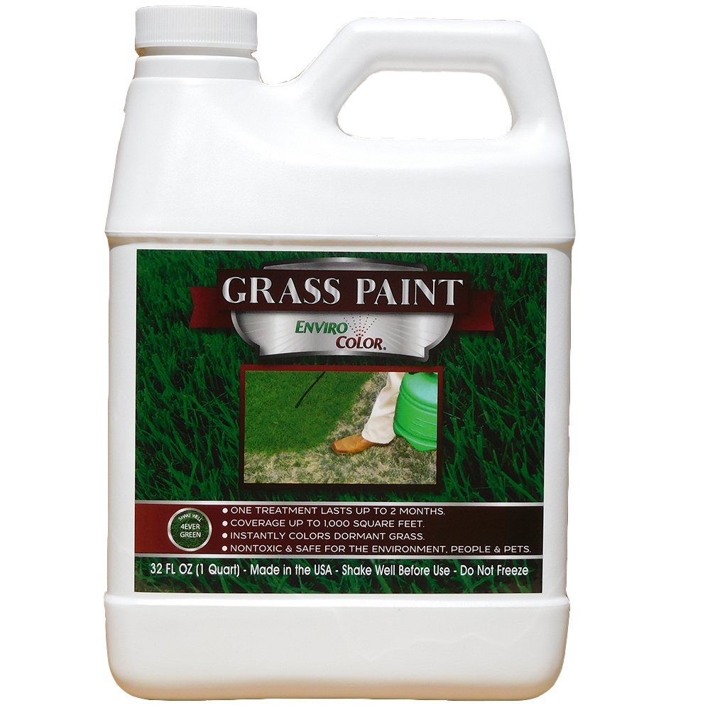 Our Favorite Grass Paints for Quick Lawn Touch-Ups: Top Choices for Instant Green