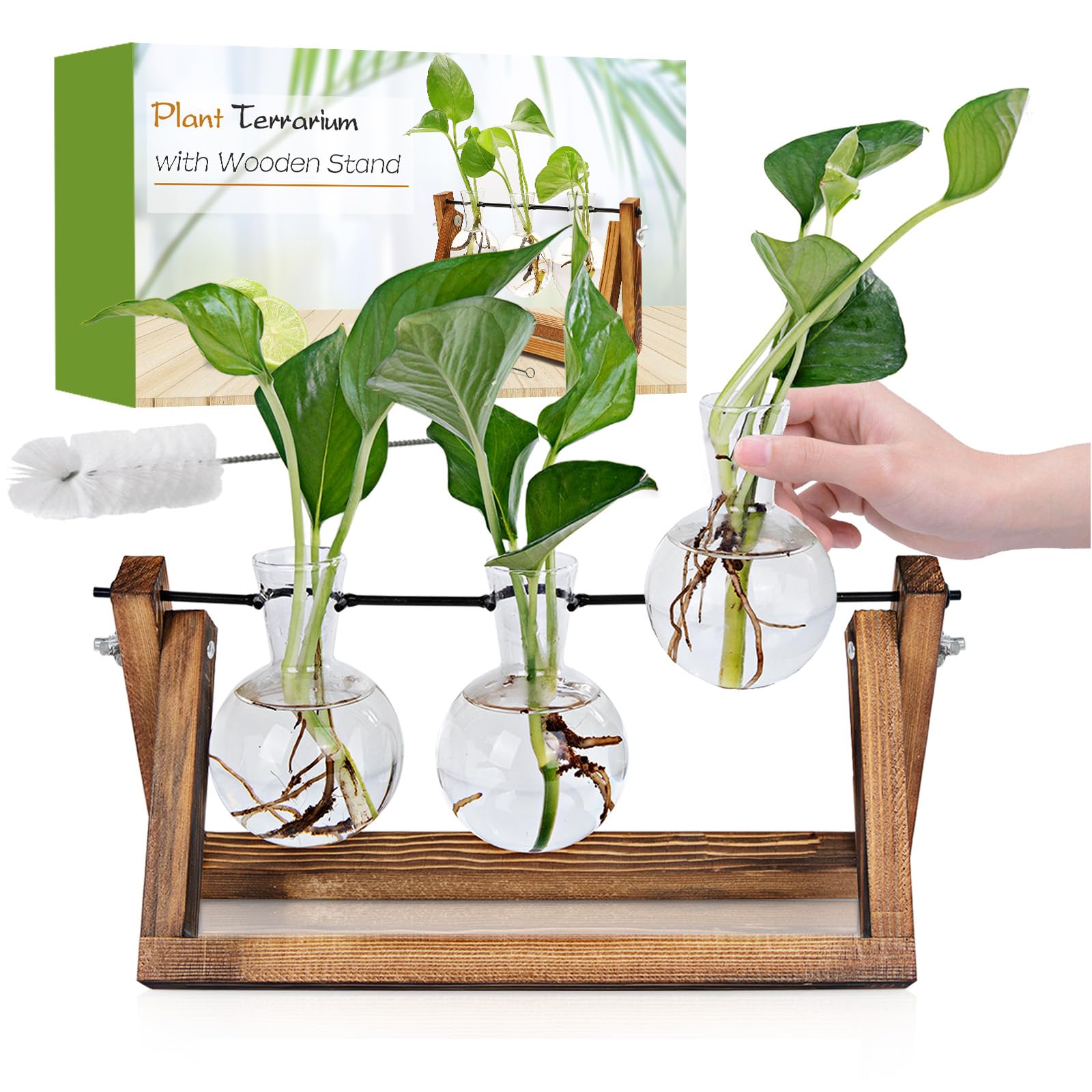 Best Plant Propagation Stations for DIY Gardeners: Top Picks for 2025