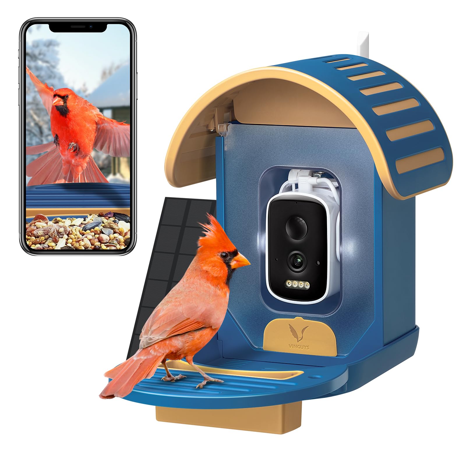 Our Review of the Most Stylish Bird Feeders: Top Picks for 2025