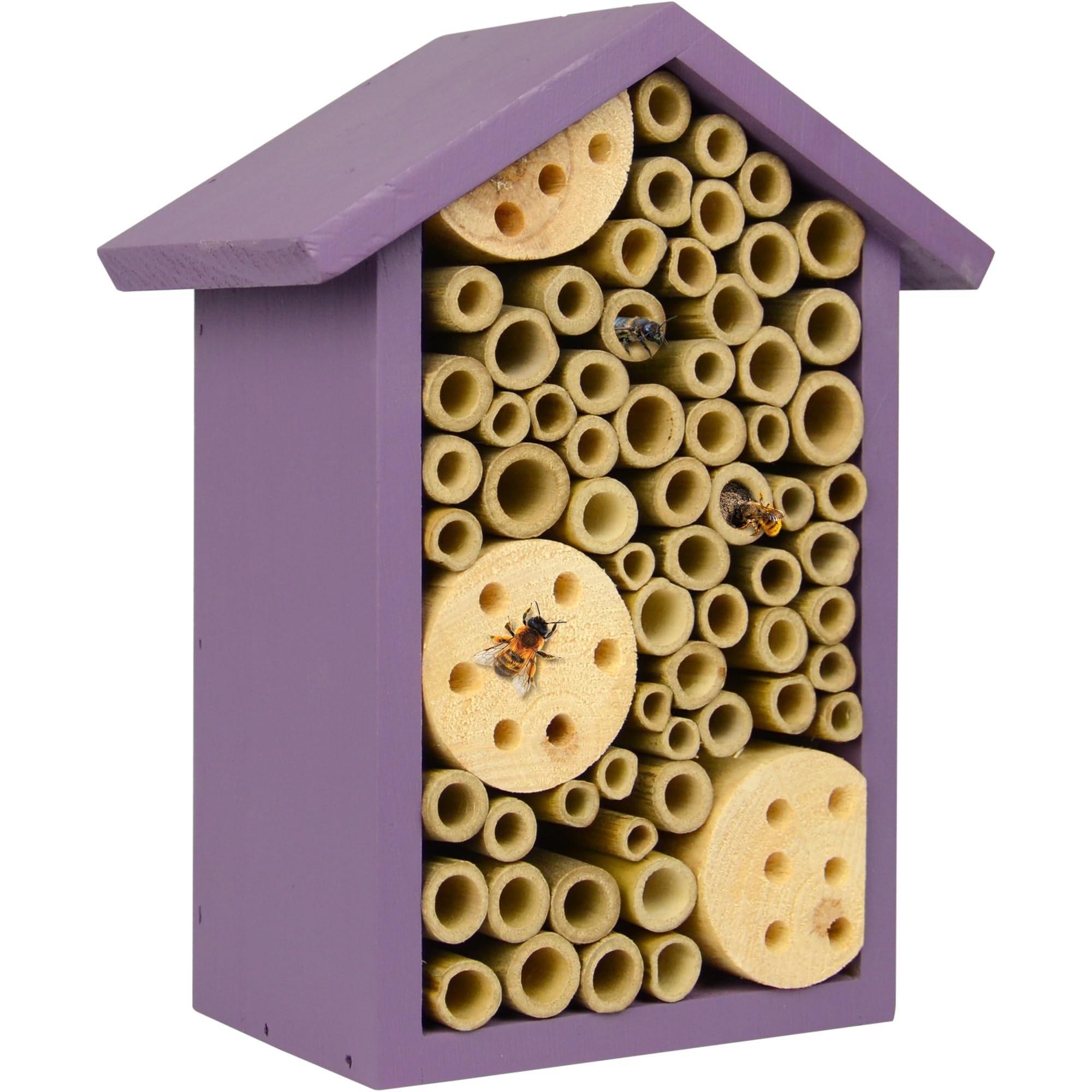 Top Bee Hotels for Boosting Pollinator Populations: 5 Effective Options for 2025