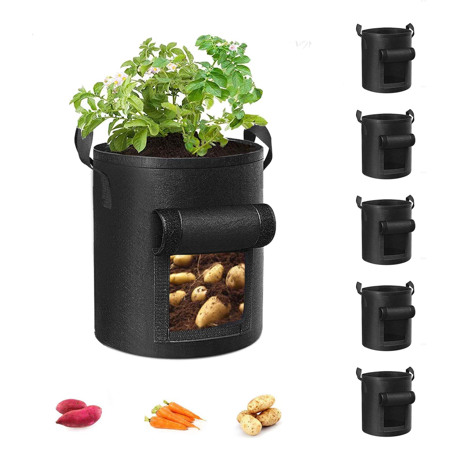 Our Review of the Best Grow Bags for Tomatoes: Top Picks for 2025 Season