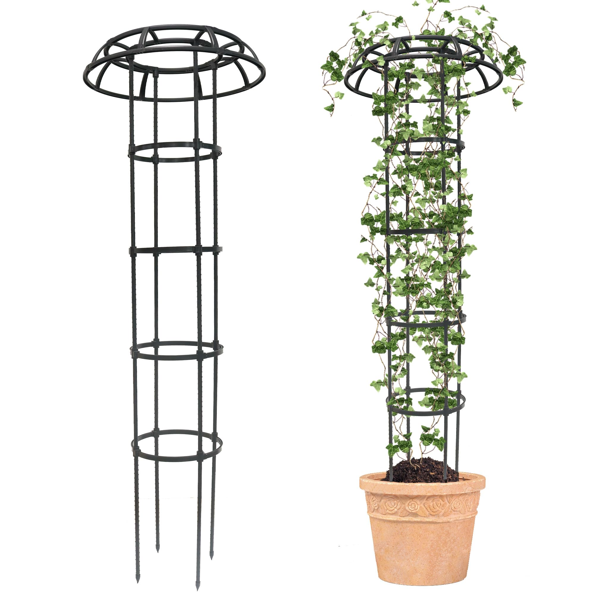 Top 5 Trellises for Supporting Climbing Vegetables: Essential Garden Structures