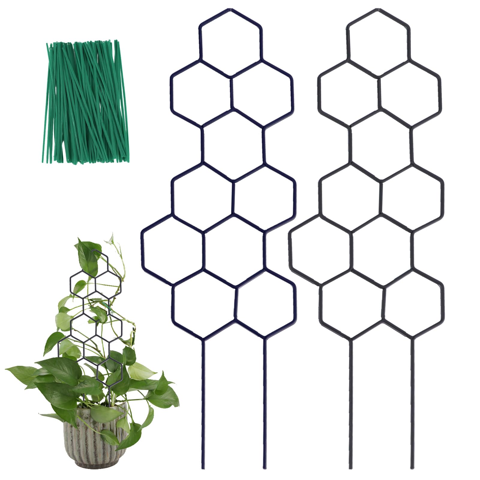 Best Trellises for Supporting Climbing Plants: Top Picks for 2025