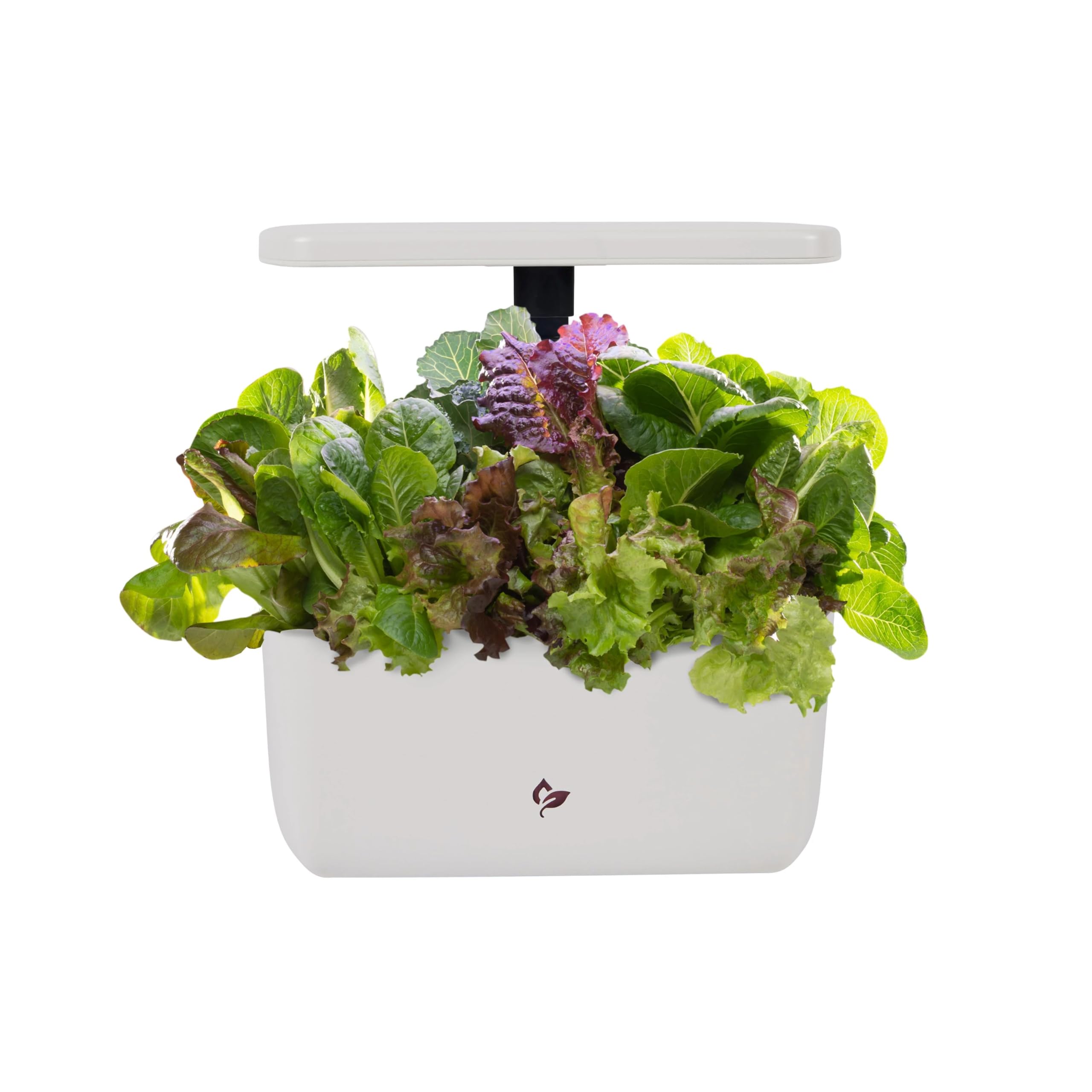 The Best Hydroponic Systems for Growing Indoors: Top Picks for 2025