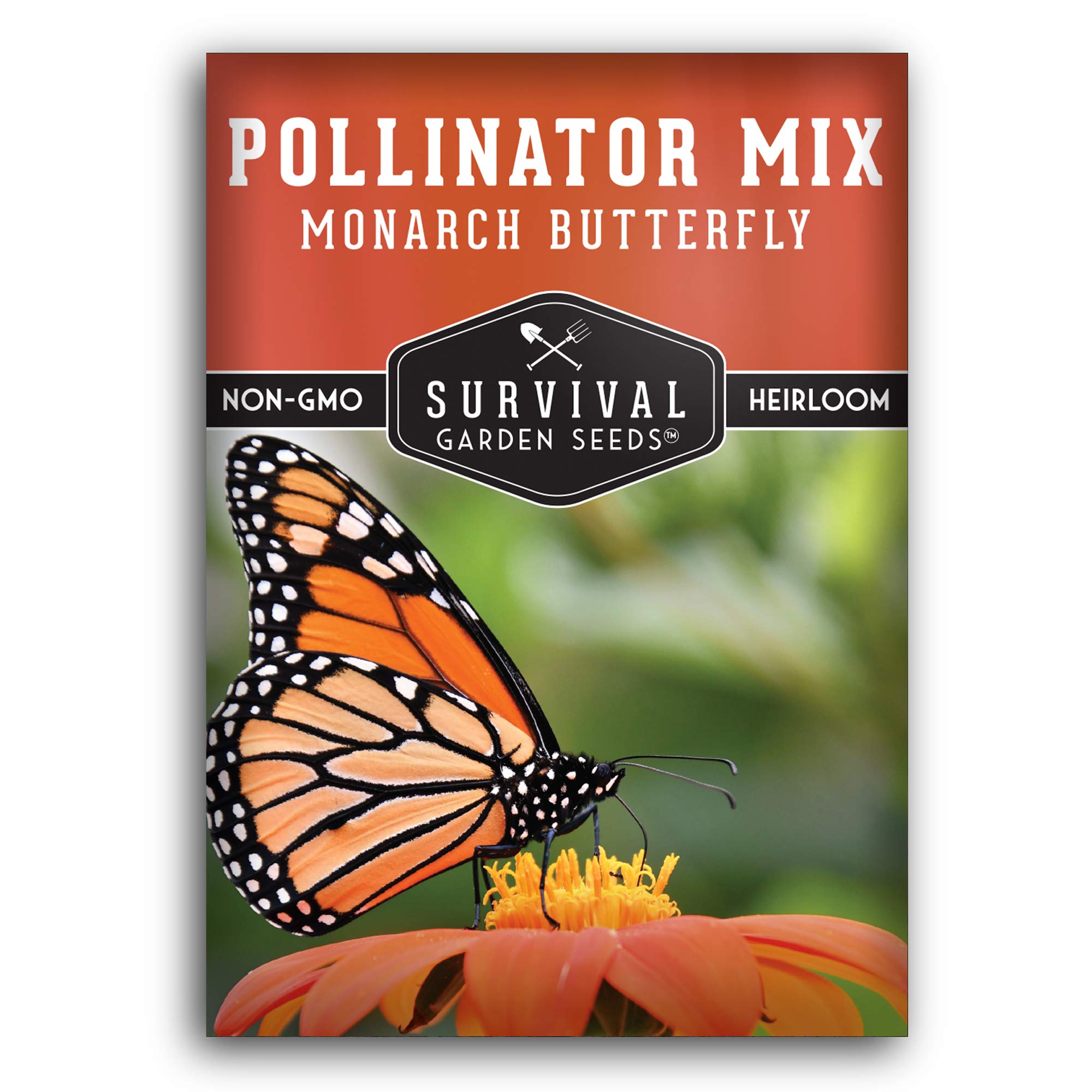 Top Butterfly-Friendly Plants for Pollinator Gardens: 12 Essential Species for 2025